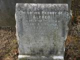 image of grave number 196634